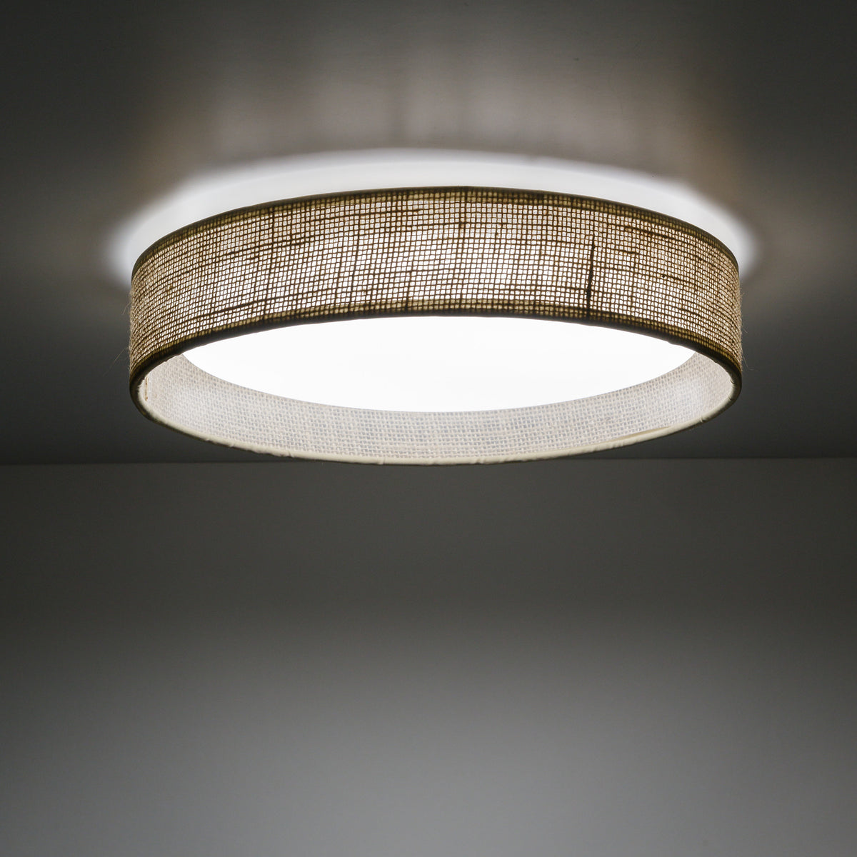 Plafonieră TK Lighting Demi, iută, 11858