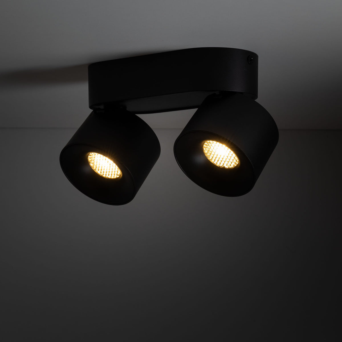 Plafonieră TK Lighting Spark Duo, negru, 2 x LED, 18147
