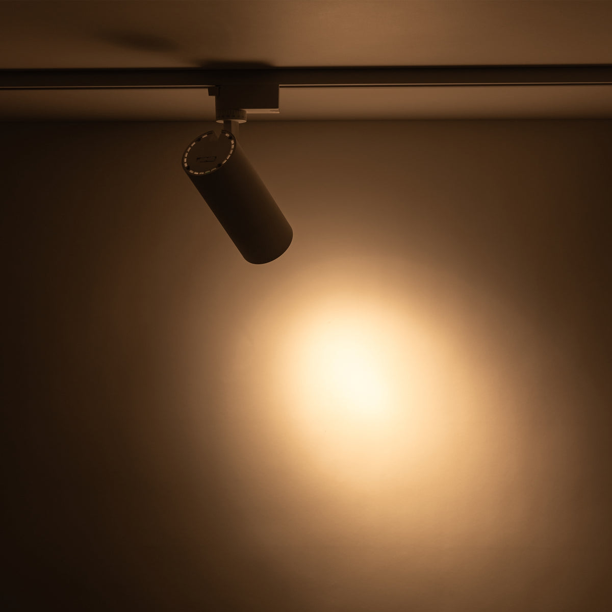Spot pe șină TK Lighting Tracer, alb, 18180