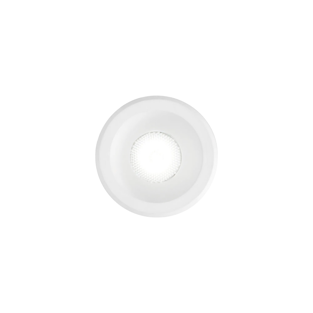 VIRUS FI WH WH 244808