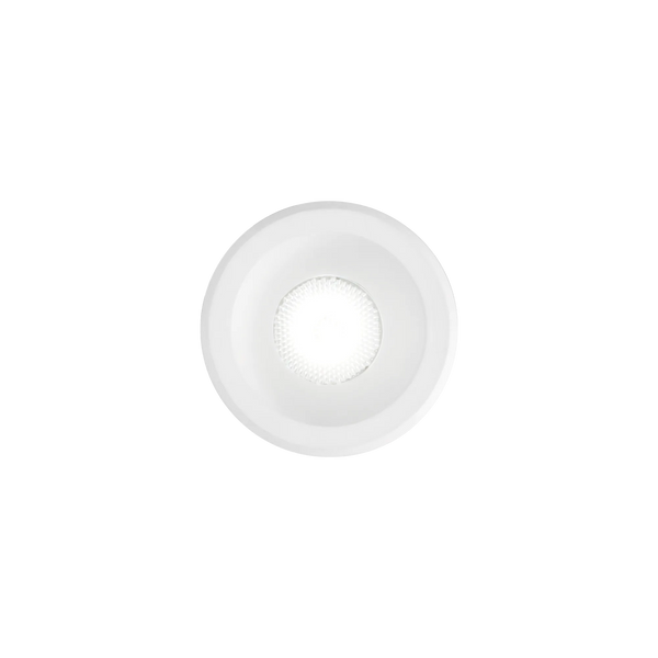 VIRUS FI WH WH 244808