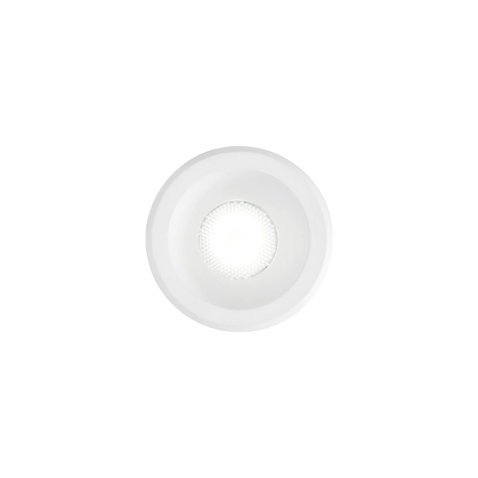 VIRUS FI WH WH 244808