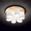 DAISY PL6 247779