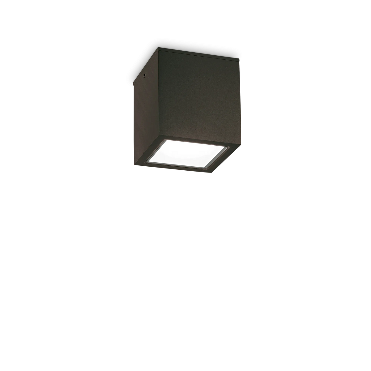 Plafonieră de exterior Ideal Lux Techo PL1 Square, negru, Ø9 cm, 251578