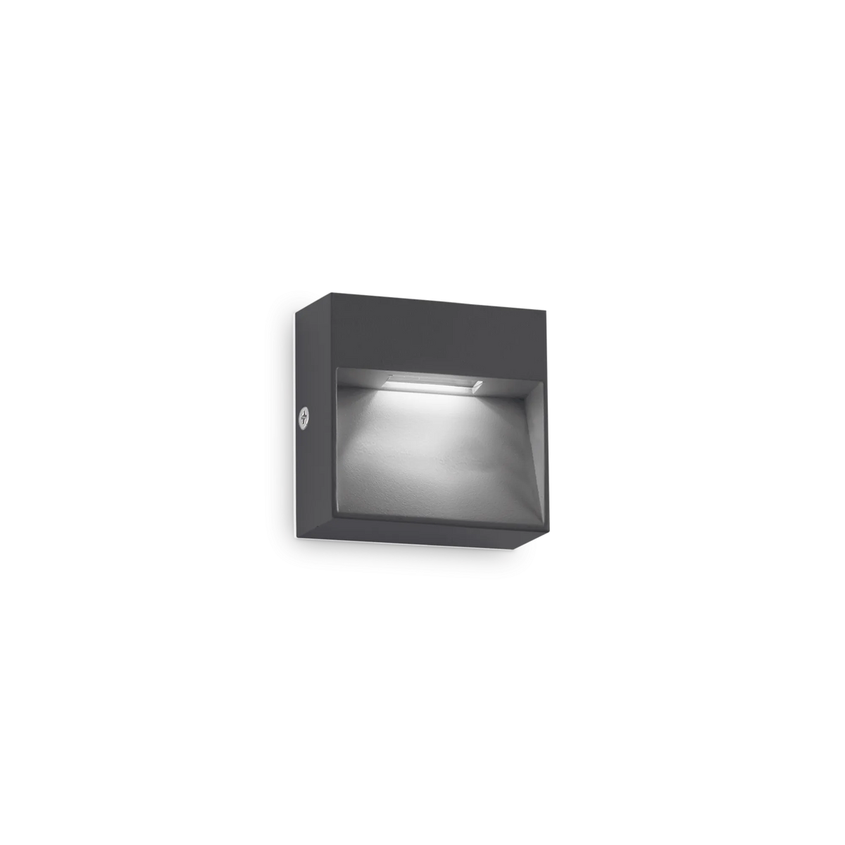 Aplică de exterior Ideal Lux Dedra Big, antracit, 316871