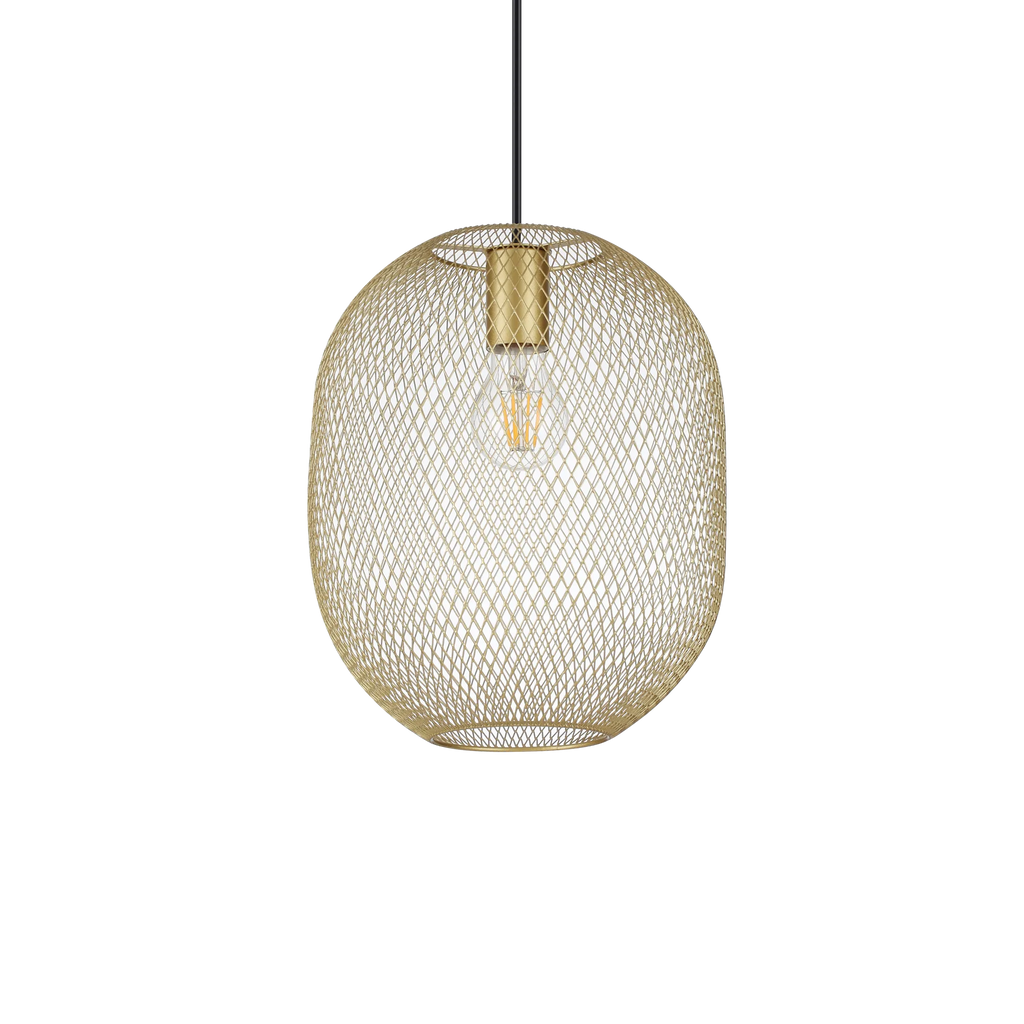 NET SP1 D24 ORO