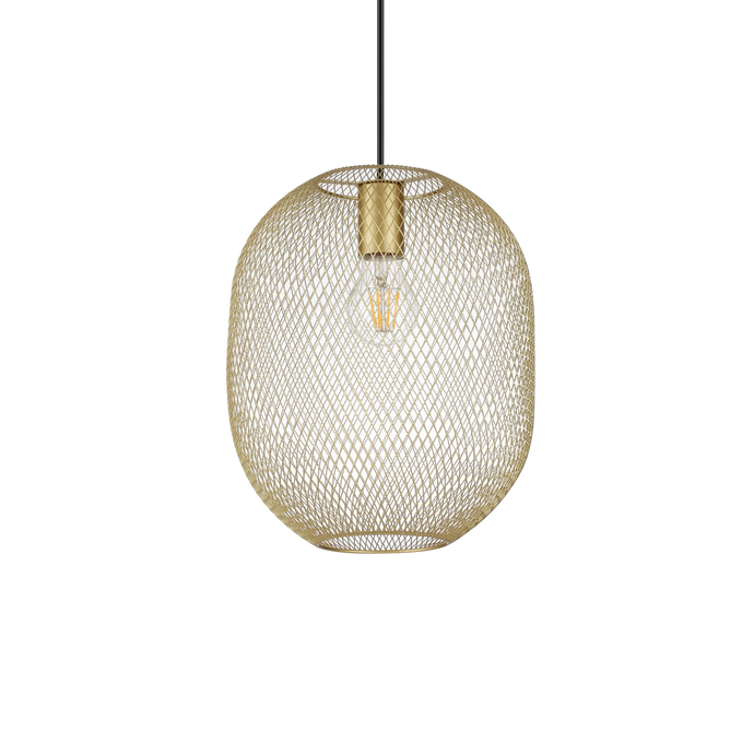 NET SP1 D24 ORO