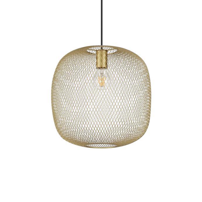 NET SP1 D34 ORO