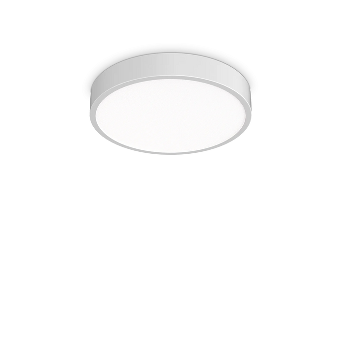 RAY PL D40 BIANCO