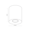 Plafoniera Orion M White 3237