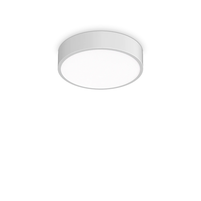 RAY PL D30 BIANCO