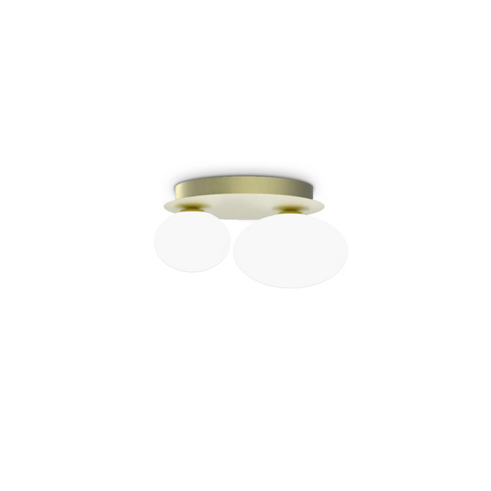 NINFEA AP2 OTTONE