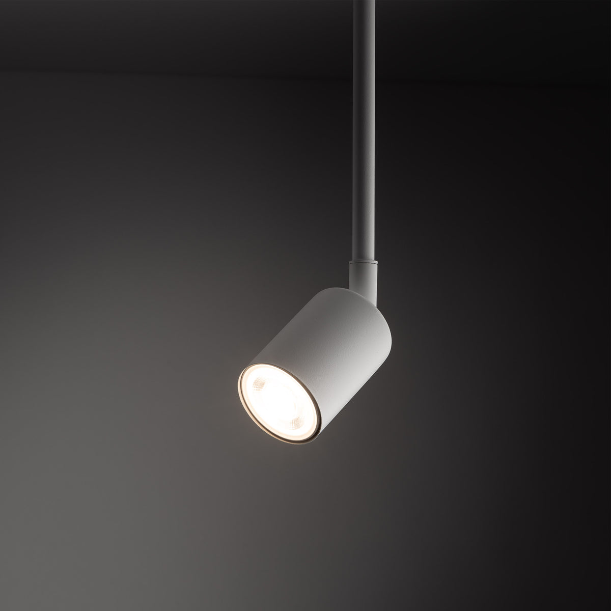 Spot pe șină TK Lighting Tracer Top Long 1, alb, 4888