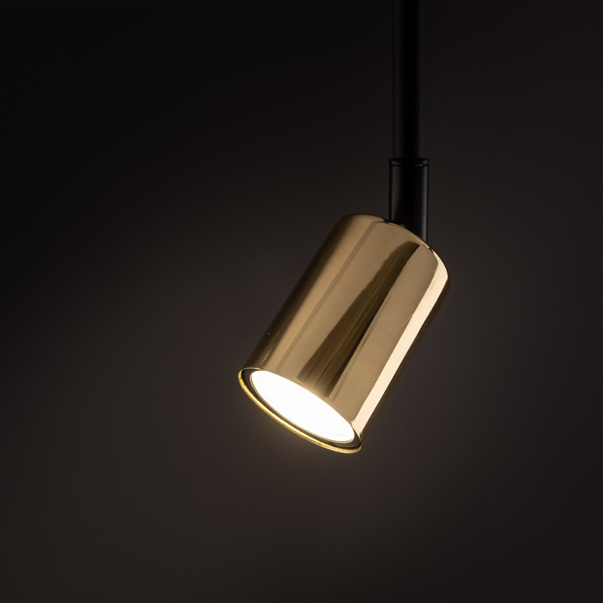 Spot pe șină TK Lighting Tracer Top Long 1, auriu, 4920