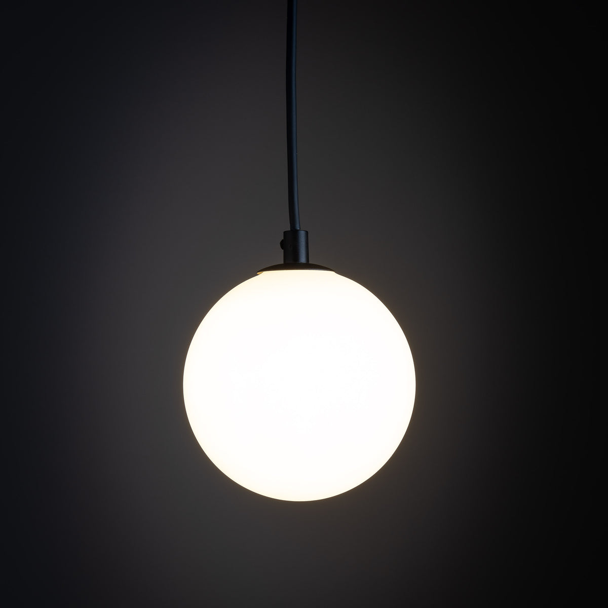 Spot pe șină TK Lighting Tracer Glass 1, negru, alb, 4927