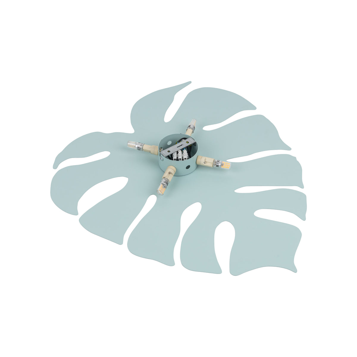 Aplică TK Lighting Monstera XL, mentă, 4 x G9, 5913