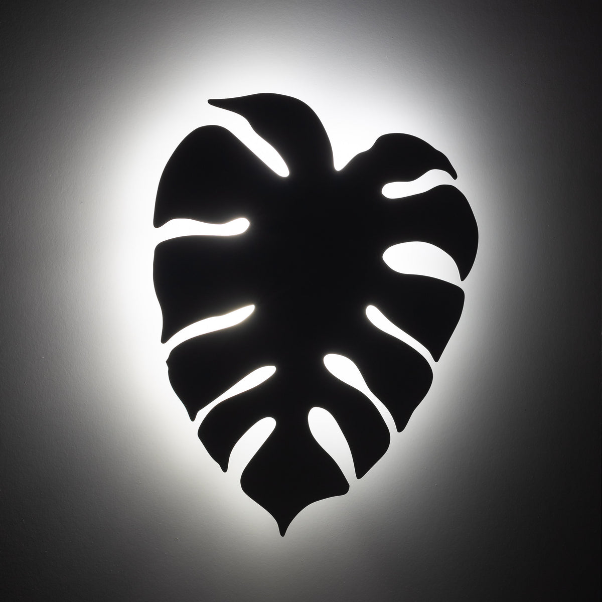 Aplică TK Lighting Monstera XL, alb, 4 x G9, 5915