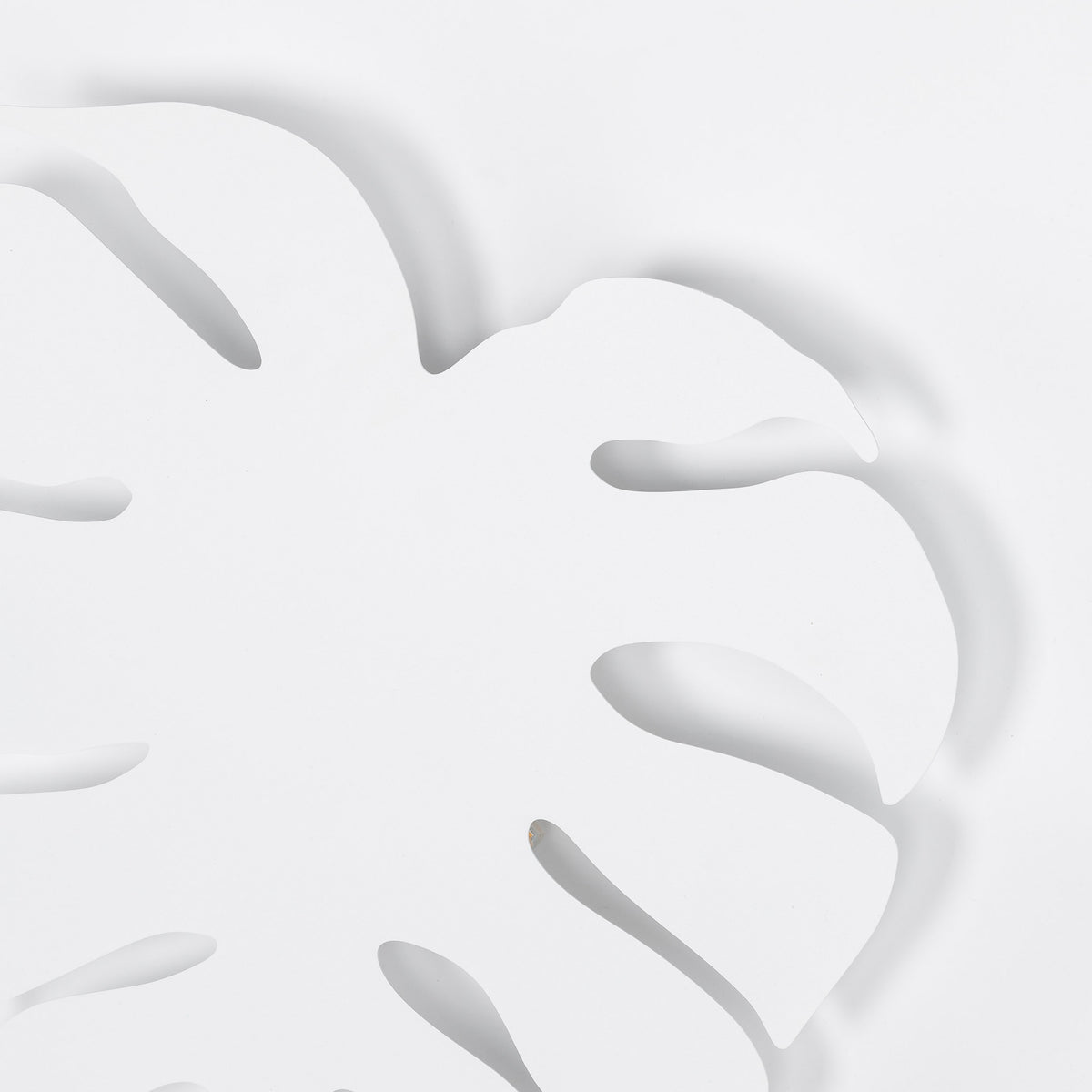 Aplică TK Lighting Monstera XL, alb, 4 x G9, 5915
