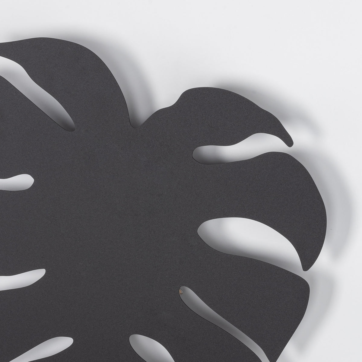 Aplică TK Lighting Monstera XL, negru, 4 x G9, 5916