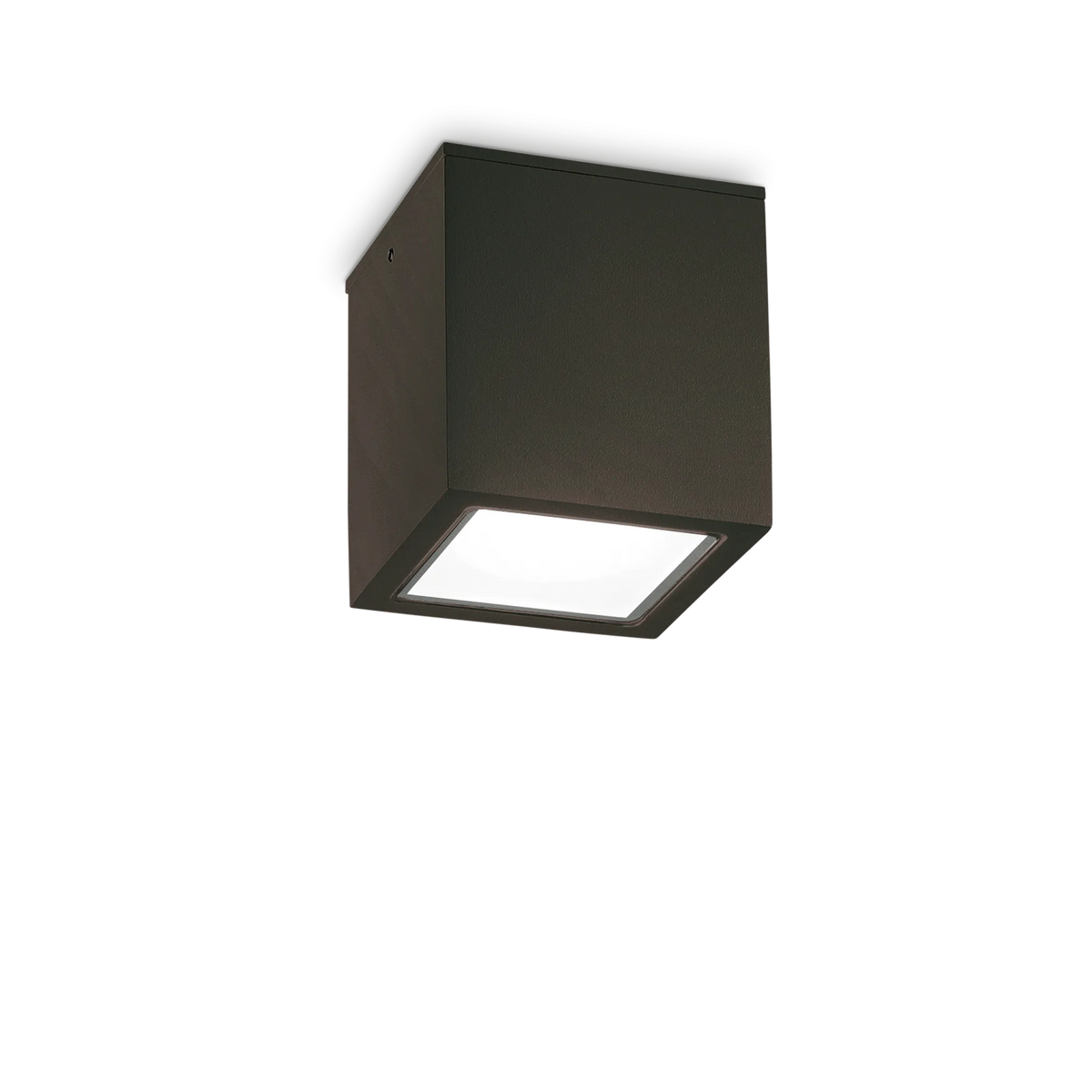 Plafonieră de exterior Ideal Lux Techo PL1 Square, negru, Ø15 cm, 251530